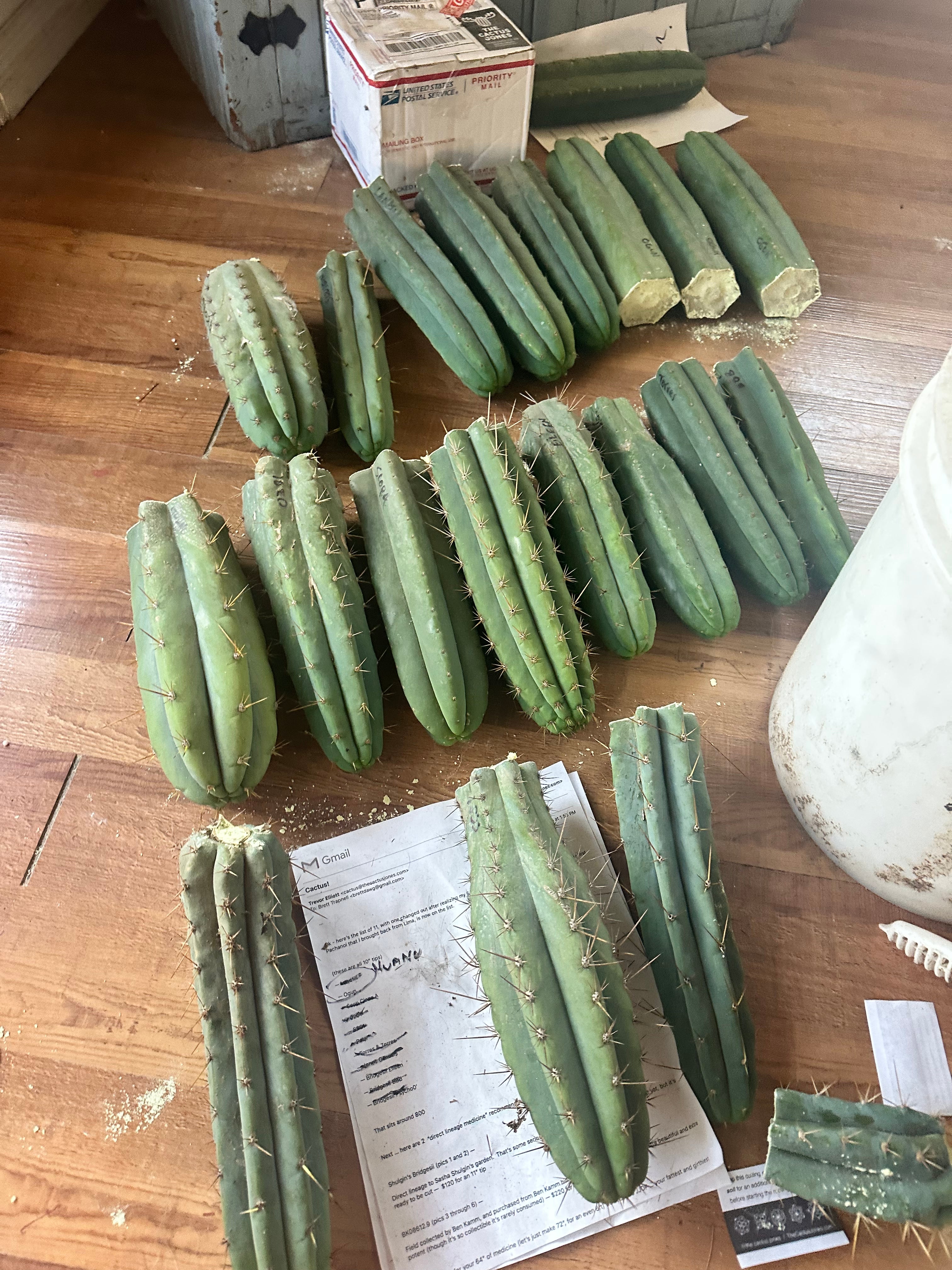 Trapnell order (for shipping record)
