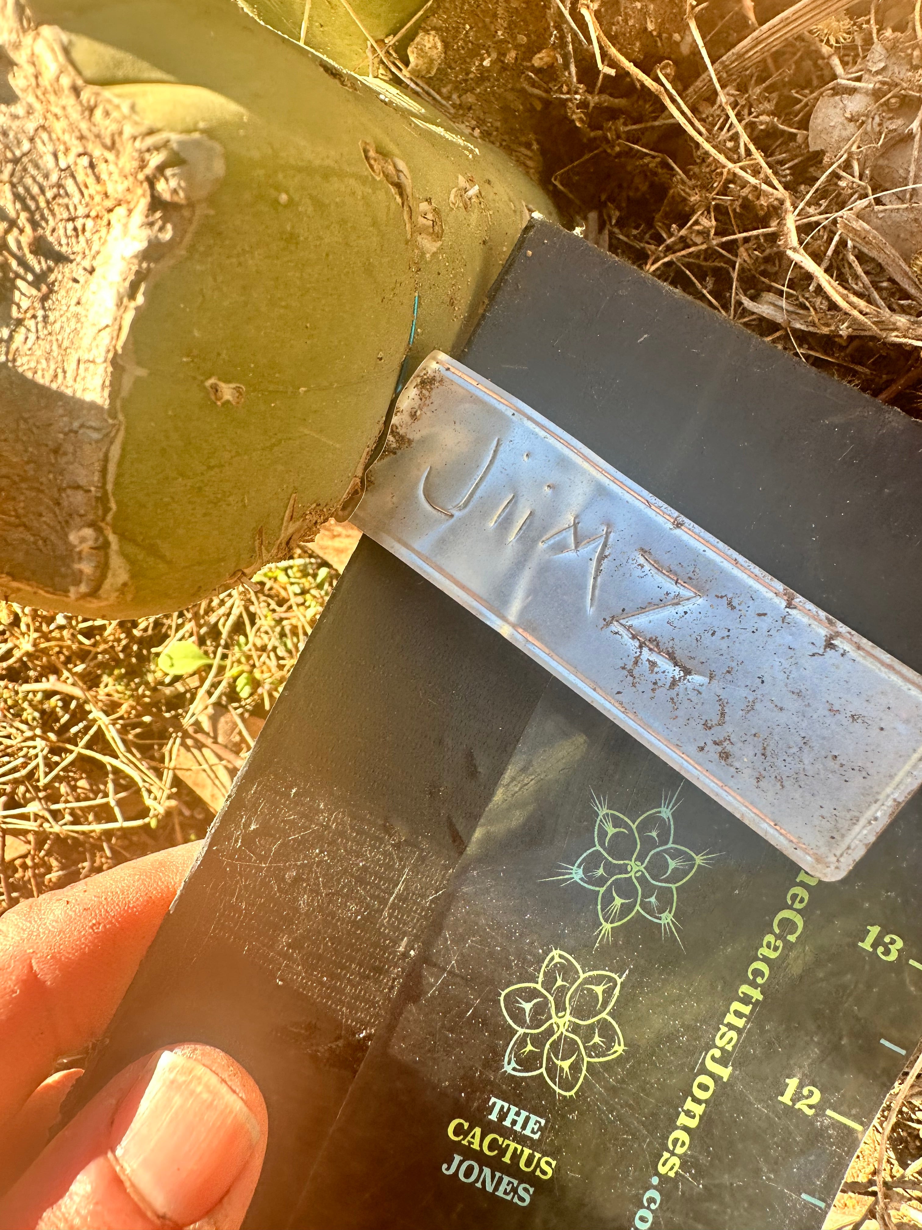 👑🌶️ More Jiimz Twin Spine  — 12” Tips