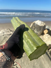 👑🌶️ Tom Juuls Giant  — XL Thick 15” Tip