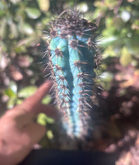 Custom Listing for James R