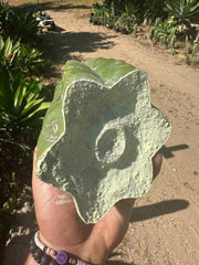 👑🌶️ Bitterfly — Beefy 9” Tip