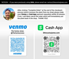 👑🌶️🌶️ KR04 — 7.5” Pup