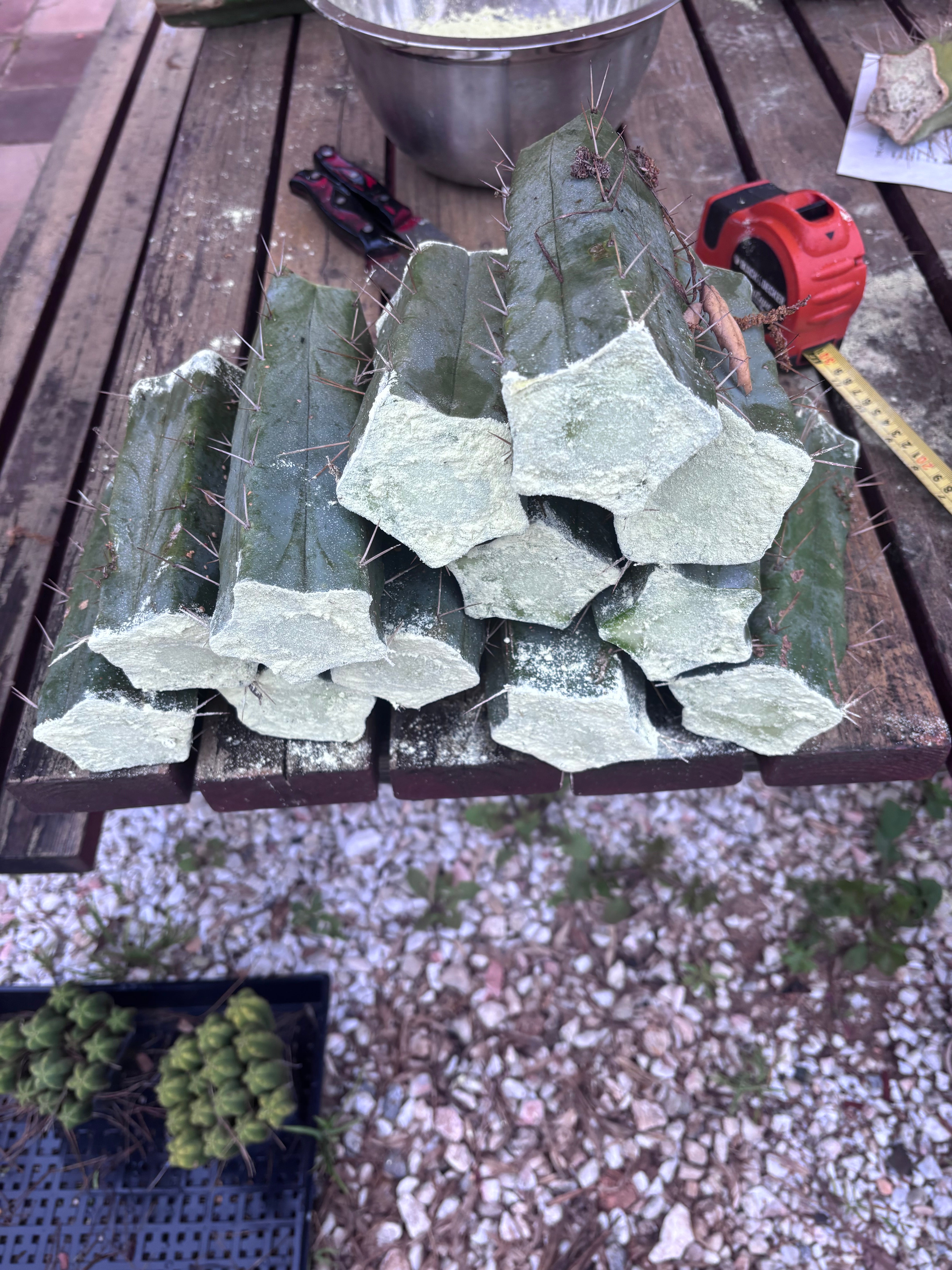 FREE ADD-ON — 🌶️ Hammer Bridge — 6” Mid