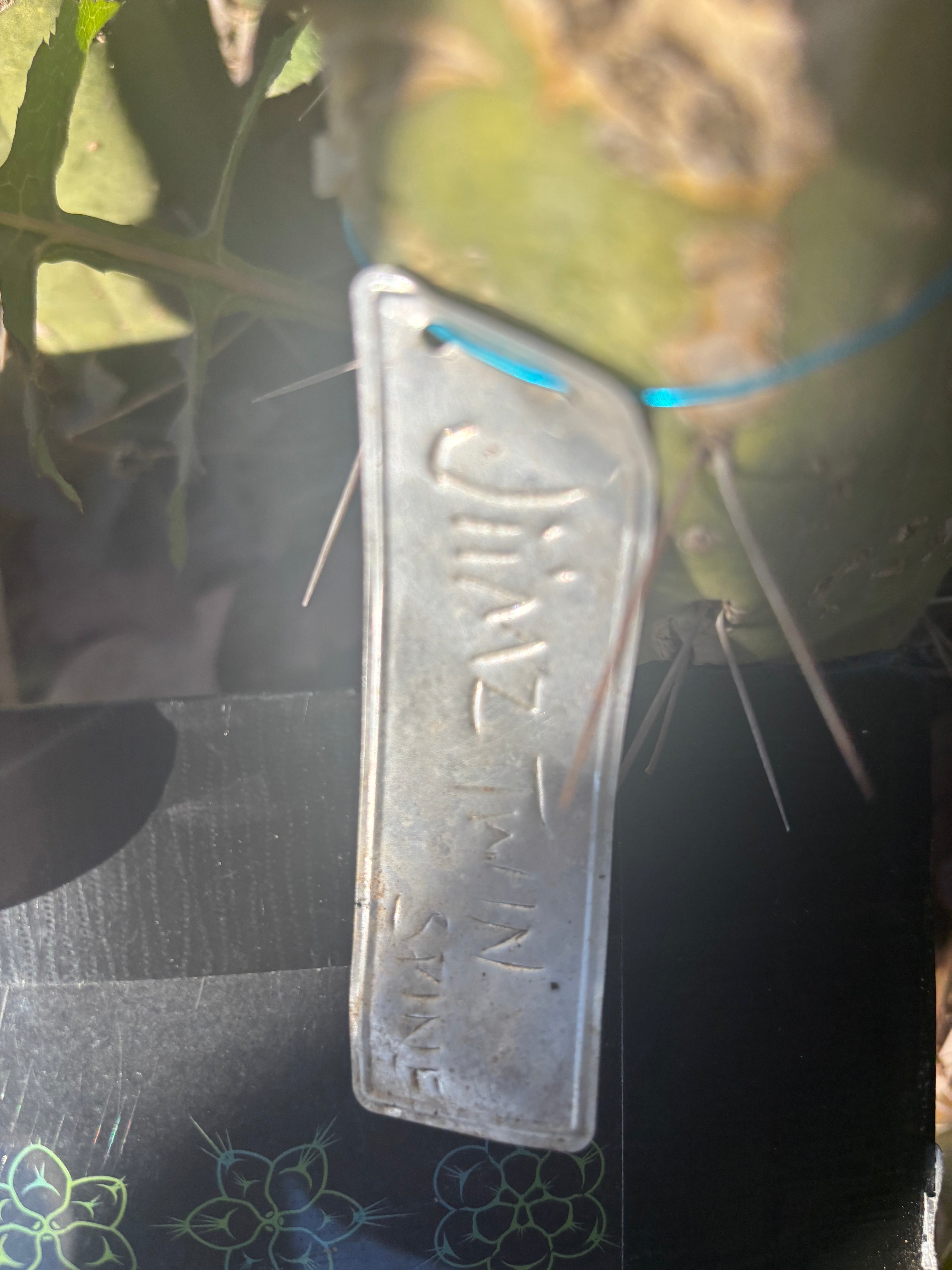 👑🌶️🌶️ Jiimz Twin Spine  — 11” Pup