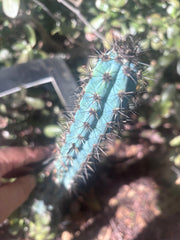 Custom Listing for James R