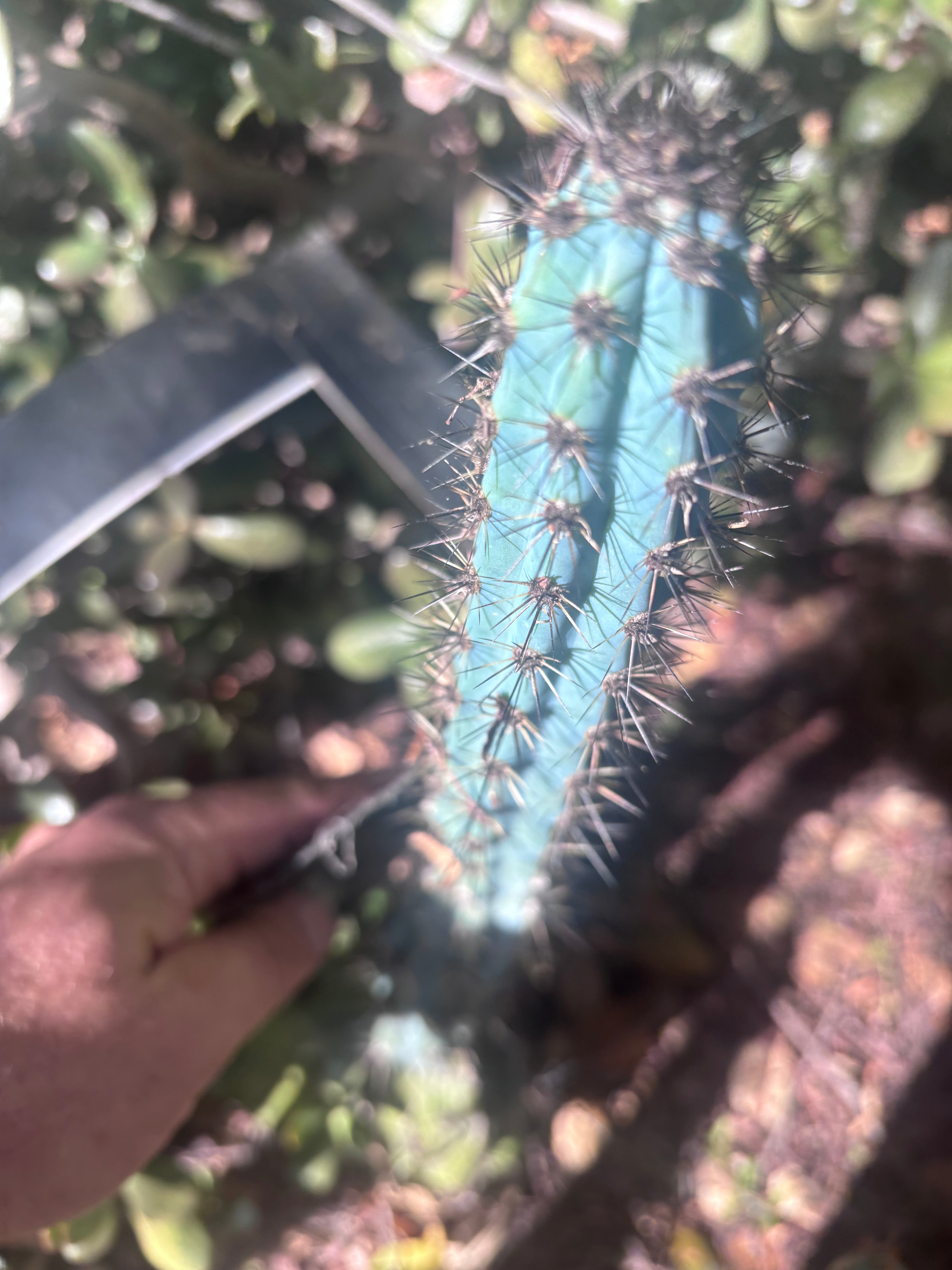 Custom Listing for James R