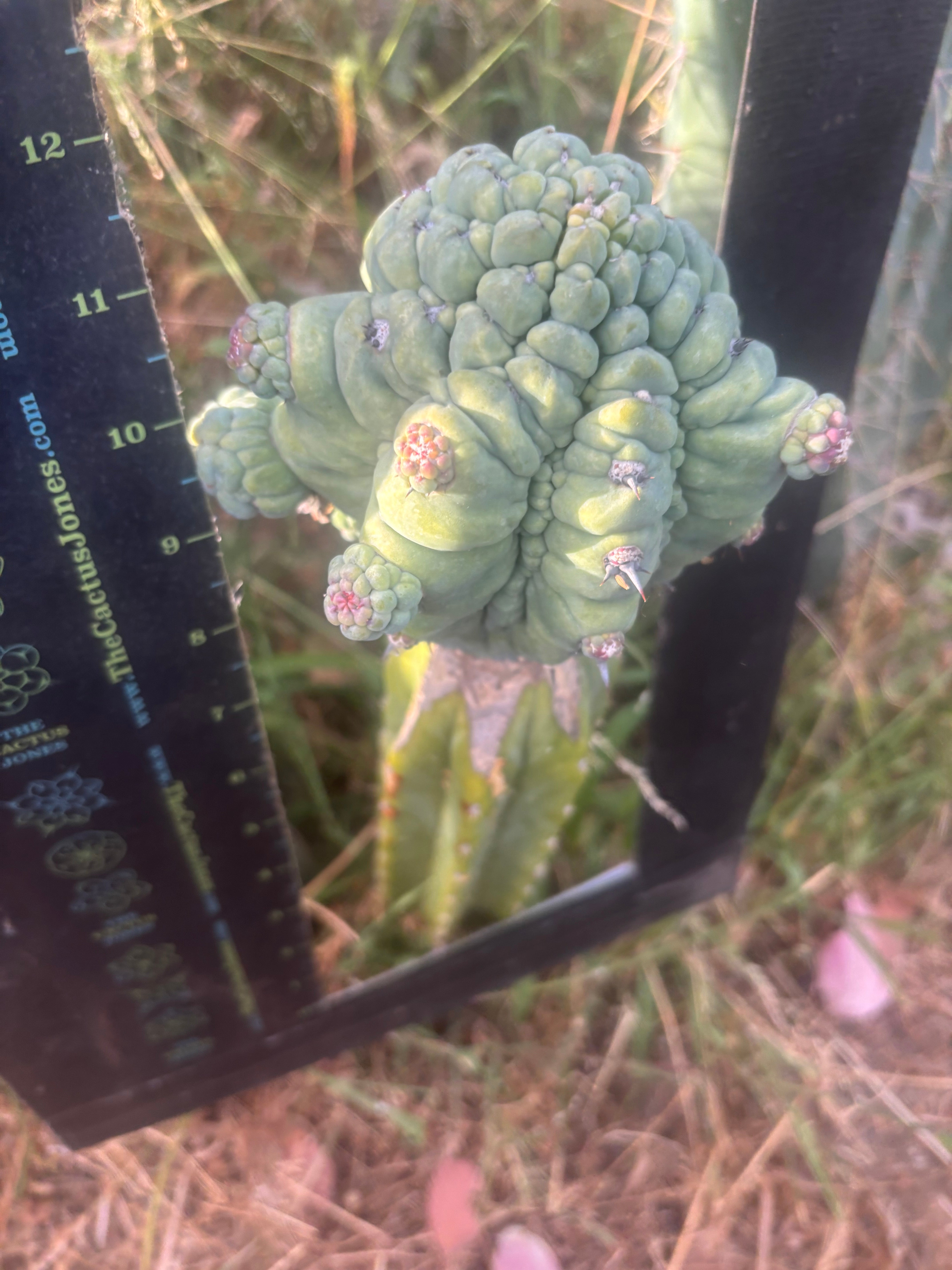 Custom Listing for Jeff H