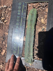👑🌶️🌶️ Dulzura — 12” Tip