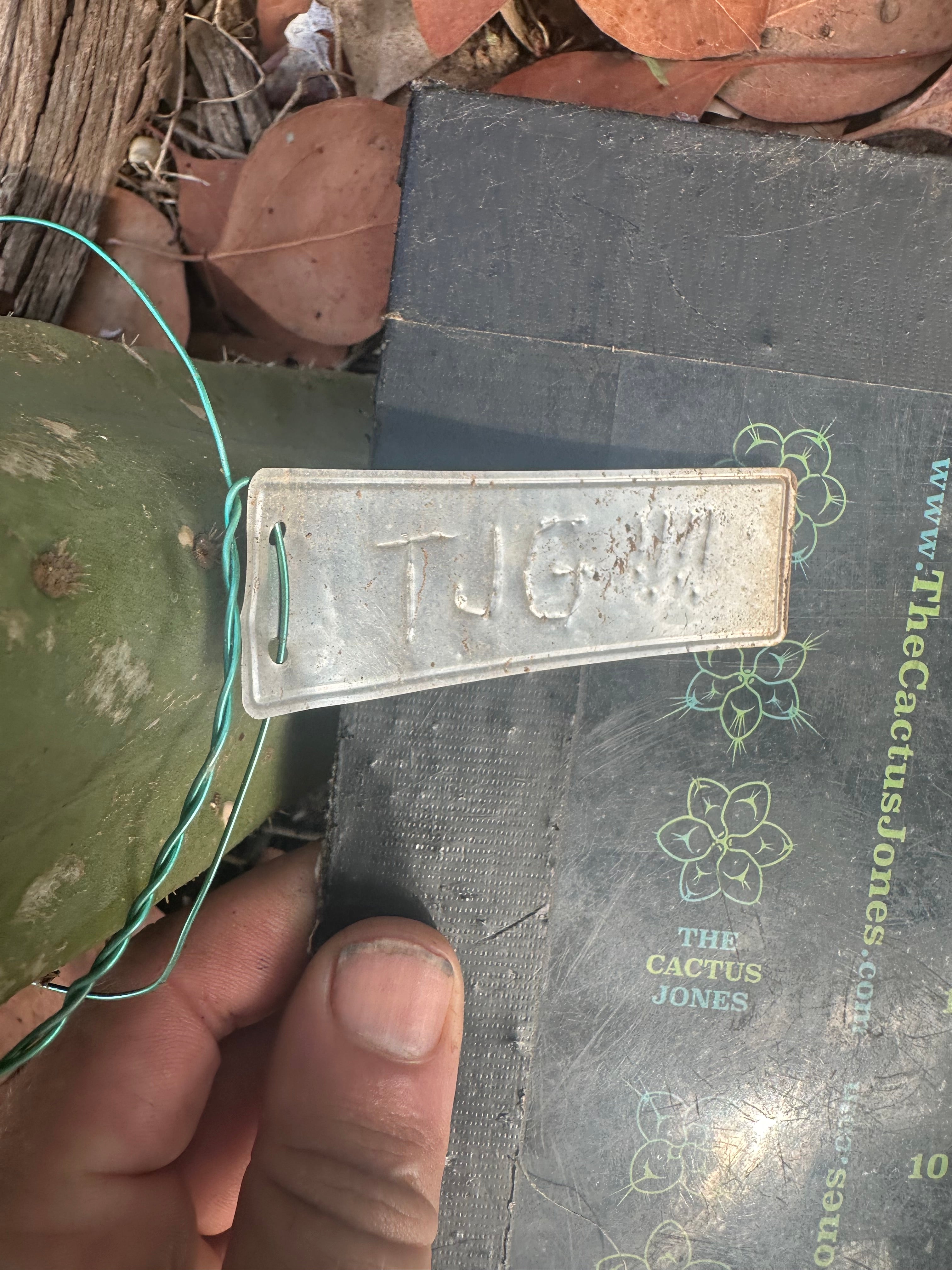 👑🌶️ Tom Juuls Giant — 10” Tip