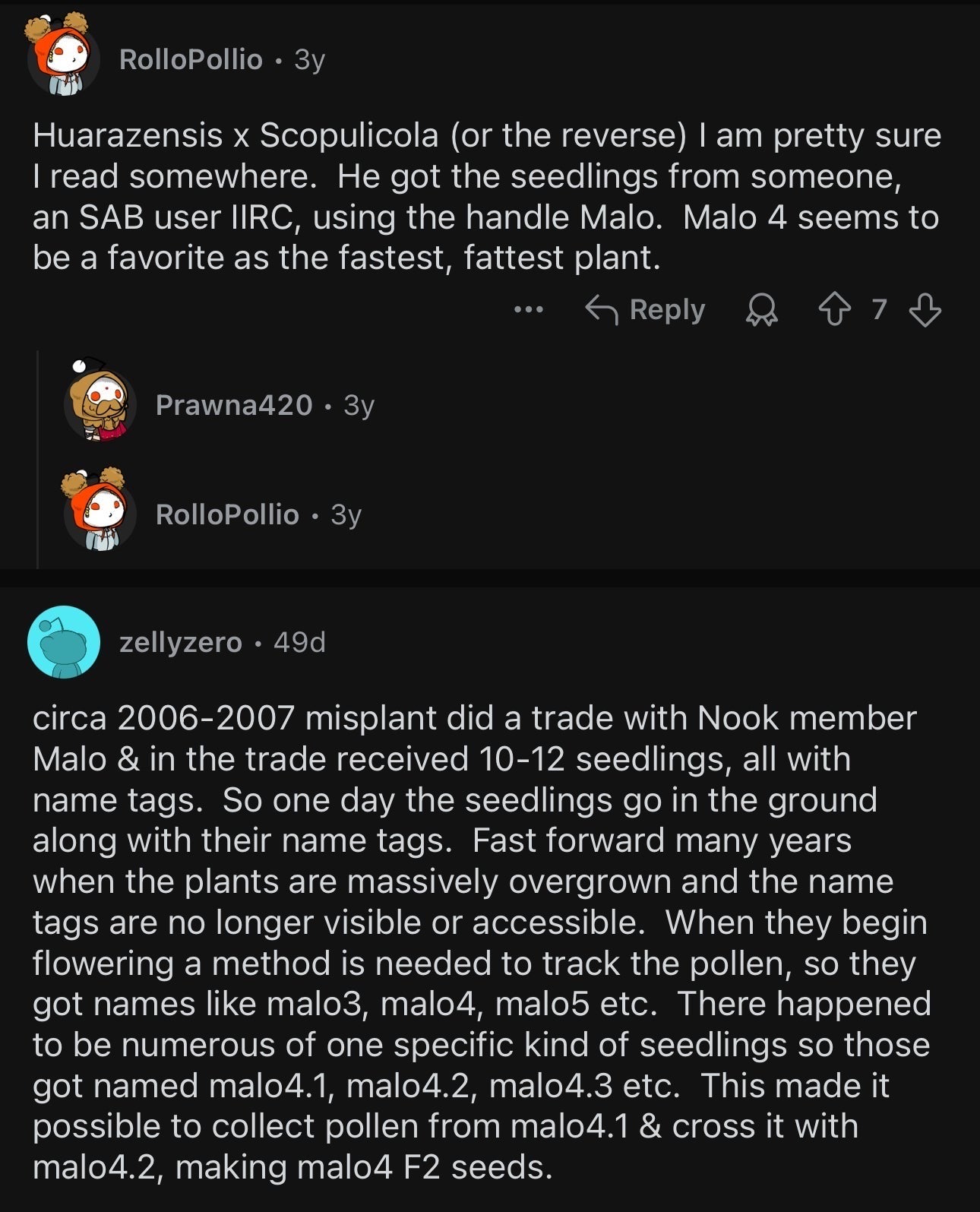 👑🌶️ Malo4 (F2)  — XL 14” Tip