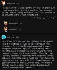 👑🌶️ Malo4 (F2)  — XL 14” Tip