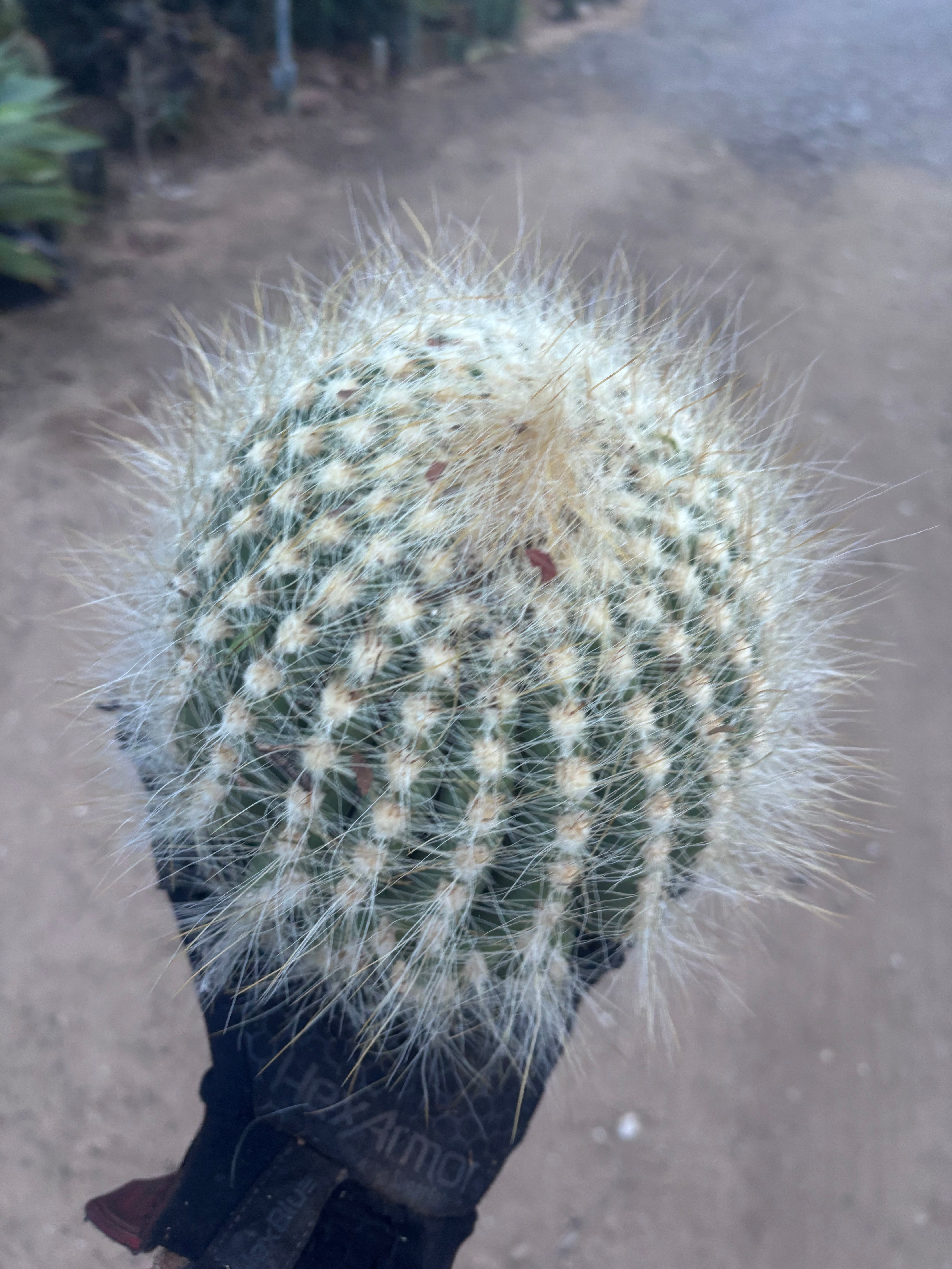 💎 Custom Order for Ty K