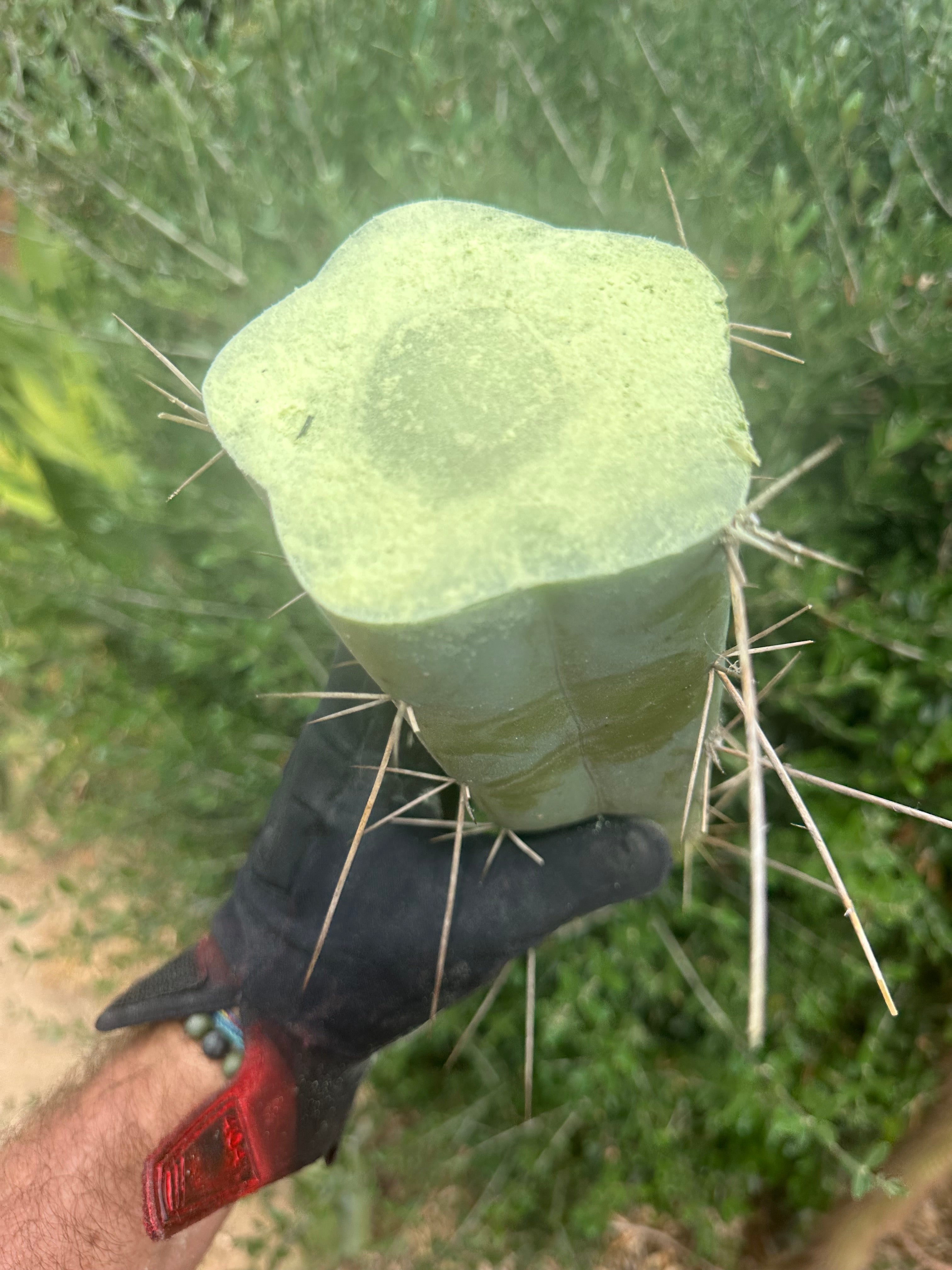 👑🌶️ Custom Listing for Scott C