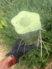 👑🌶️ Custom Listing for Scott C