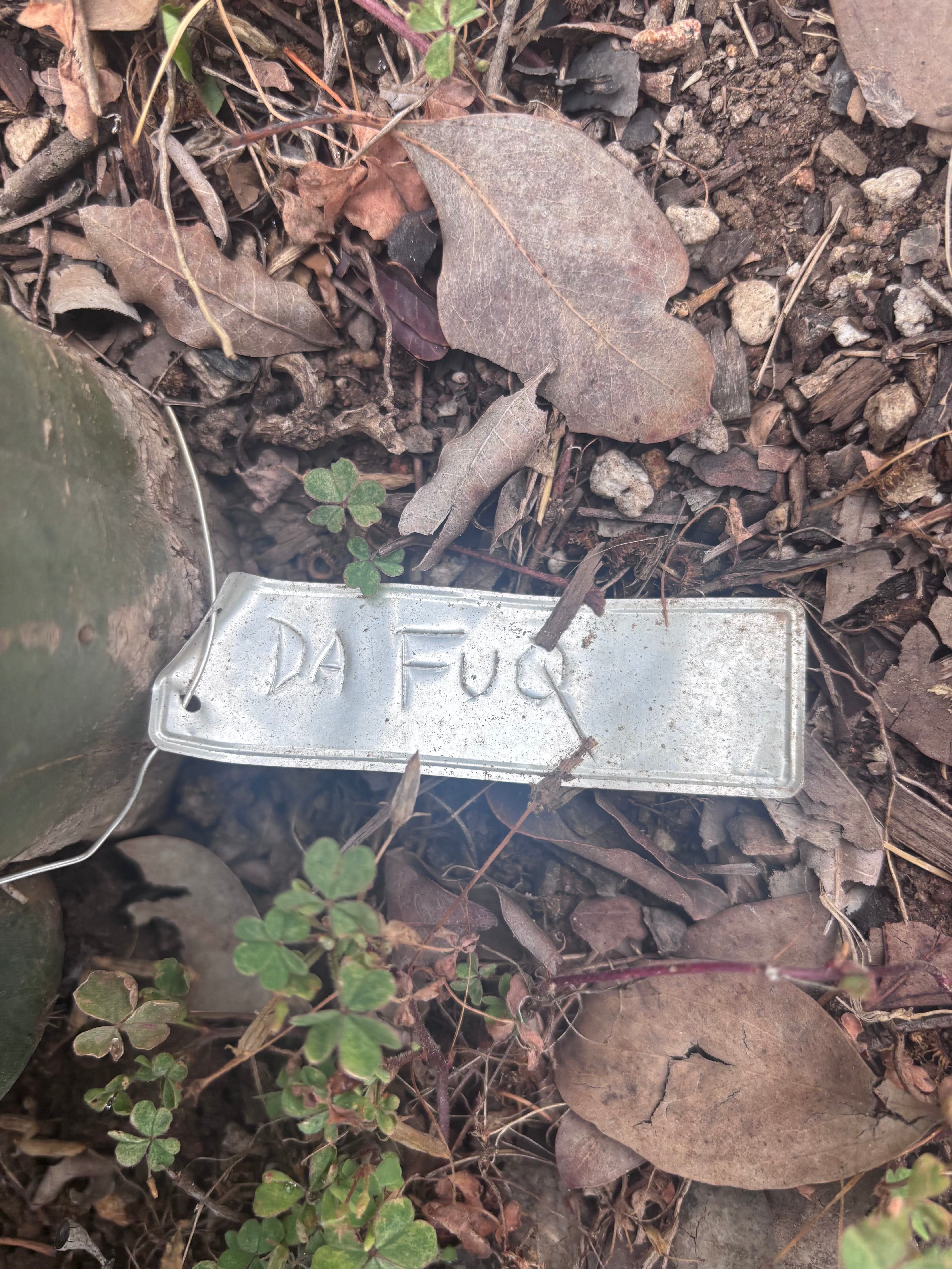 👑🌶️ DaFuq —  12” Pup