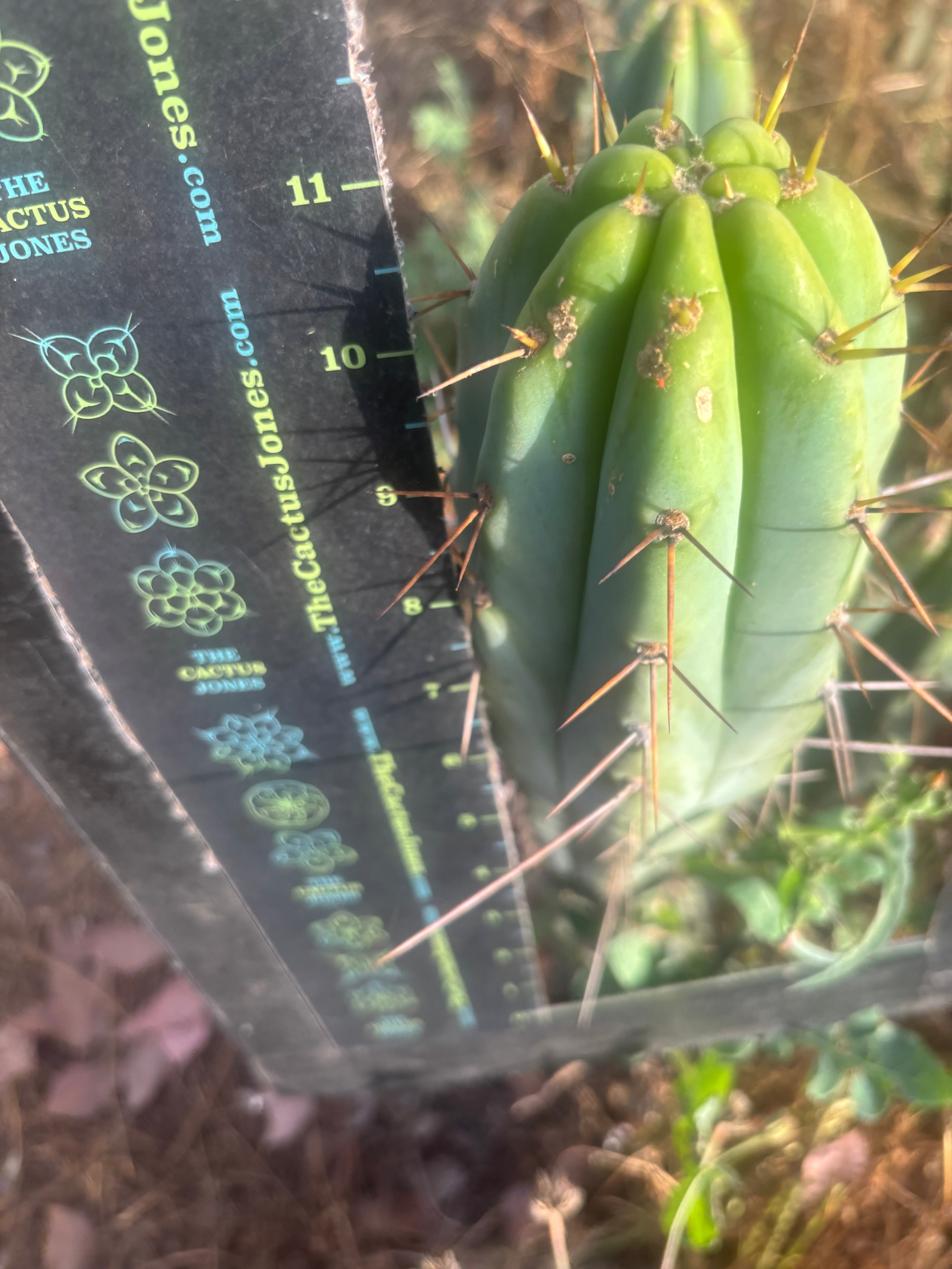 Custom Listing for Jeff H