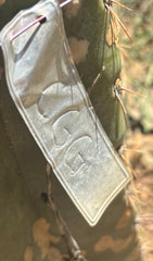 👑🌶️ CGG —  Melon Pup