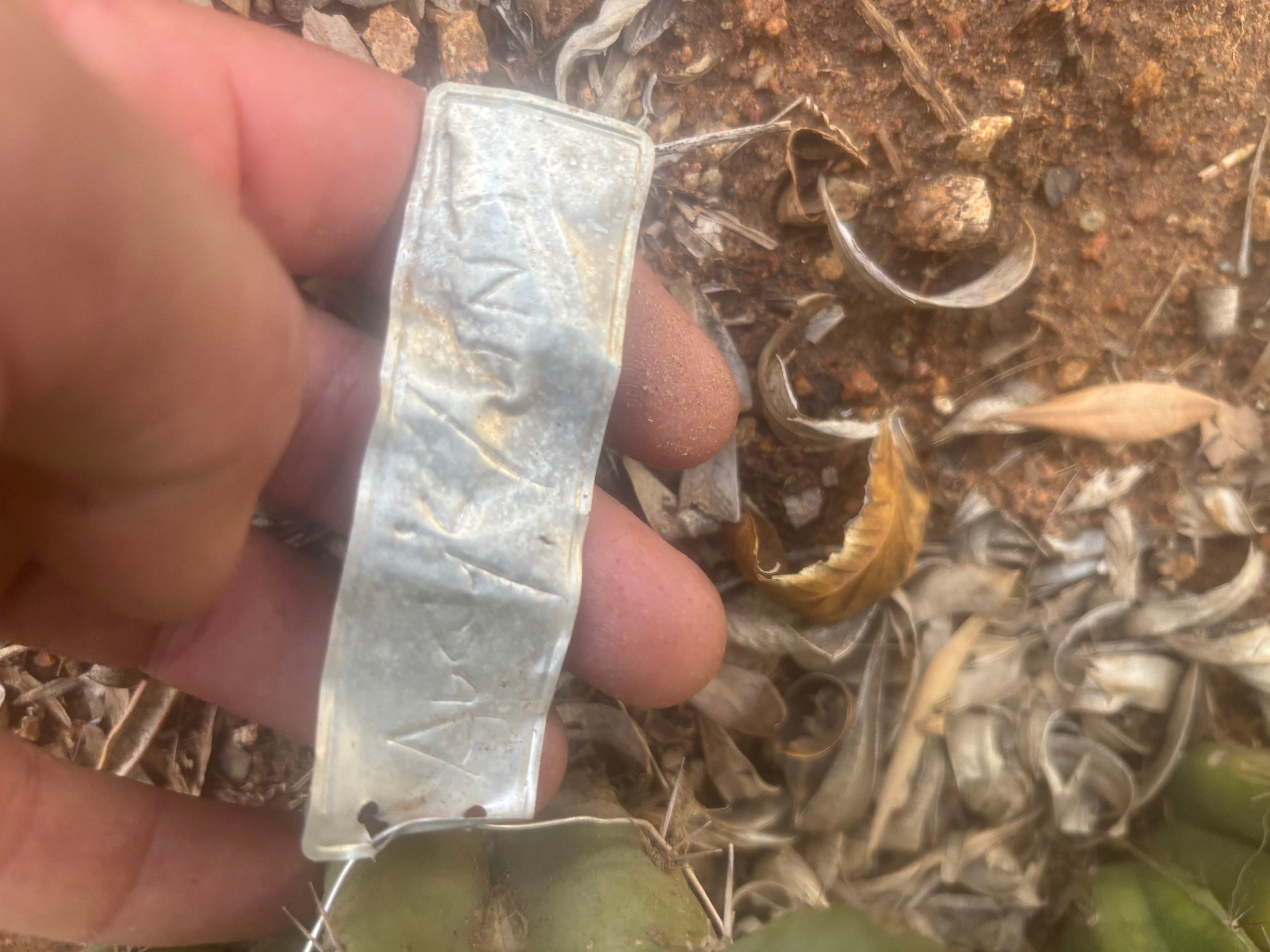 👑🌶️🌶️ Austy’s Bomb — 10” Tip