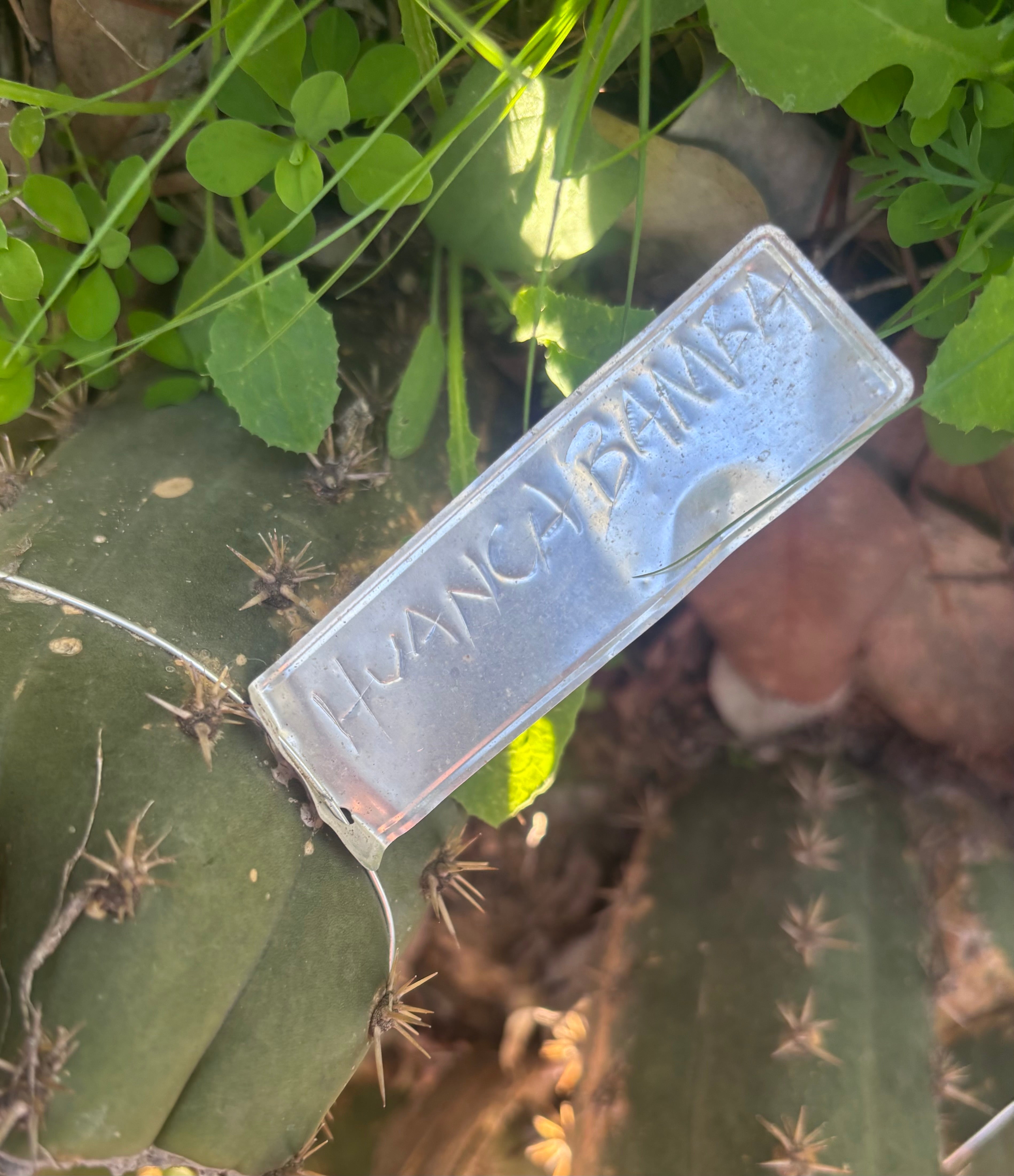 👑🌶️ Huancabamba— 10” Tip