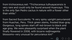💎👑💎 Tulhuay — Rare Magenta Flower — Pup Graft