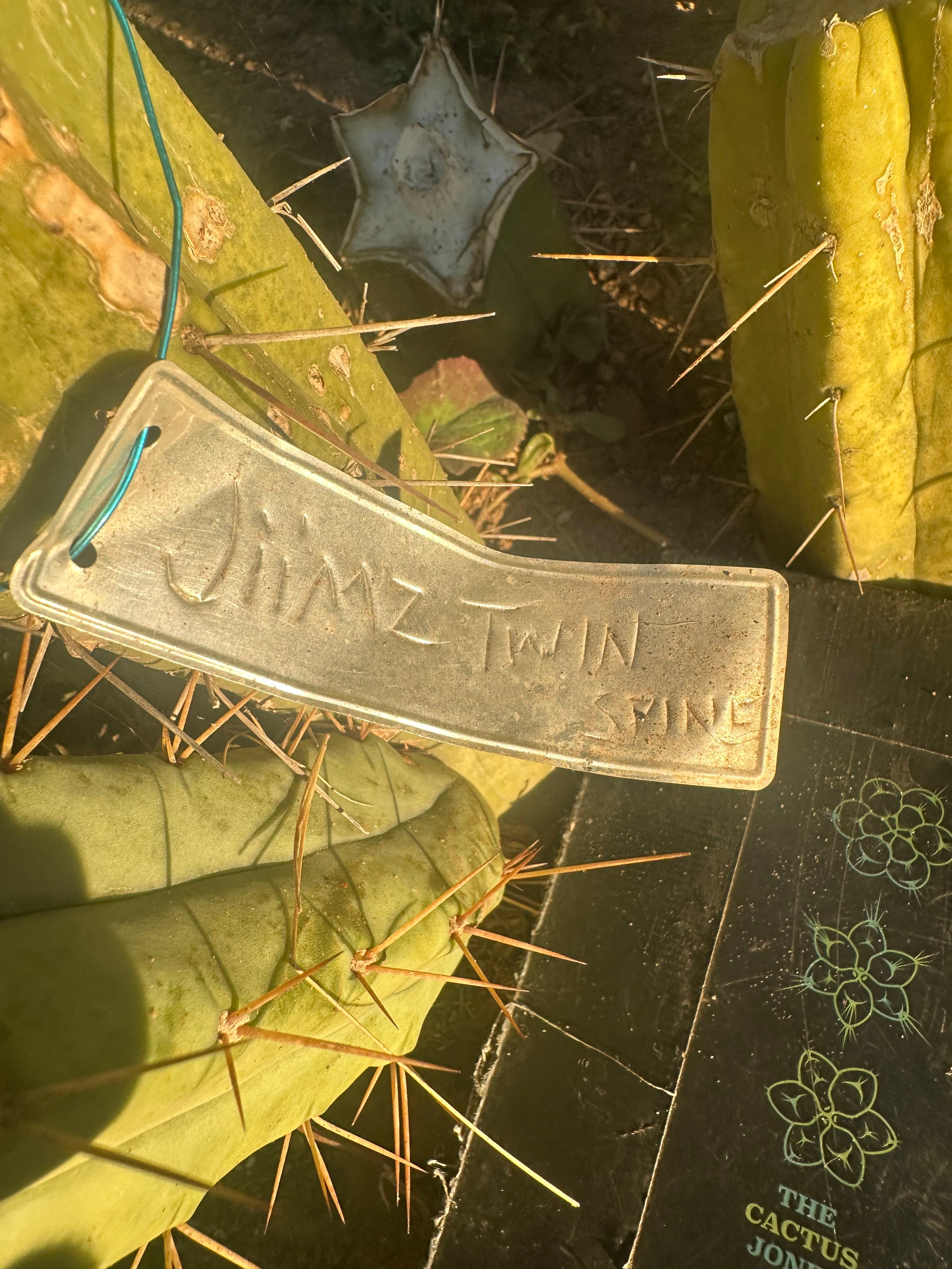 👑🌶️🌶️ Jiimz Twin Spine  — 11” Pup