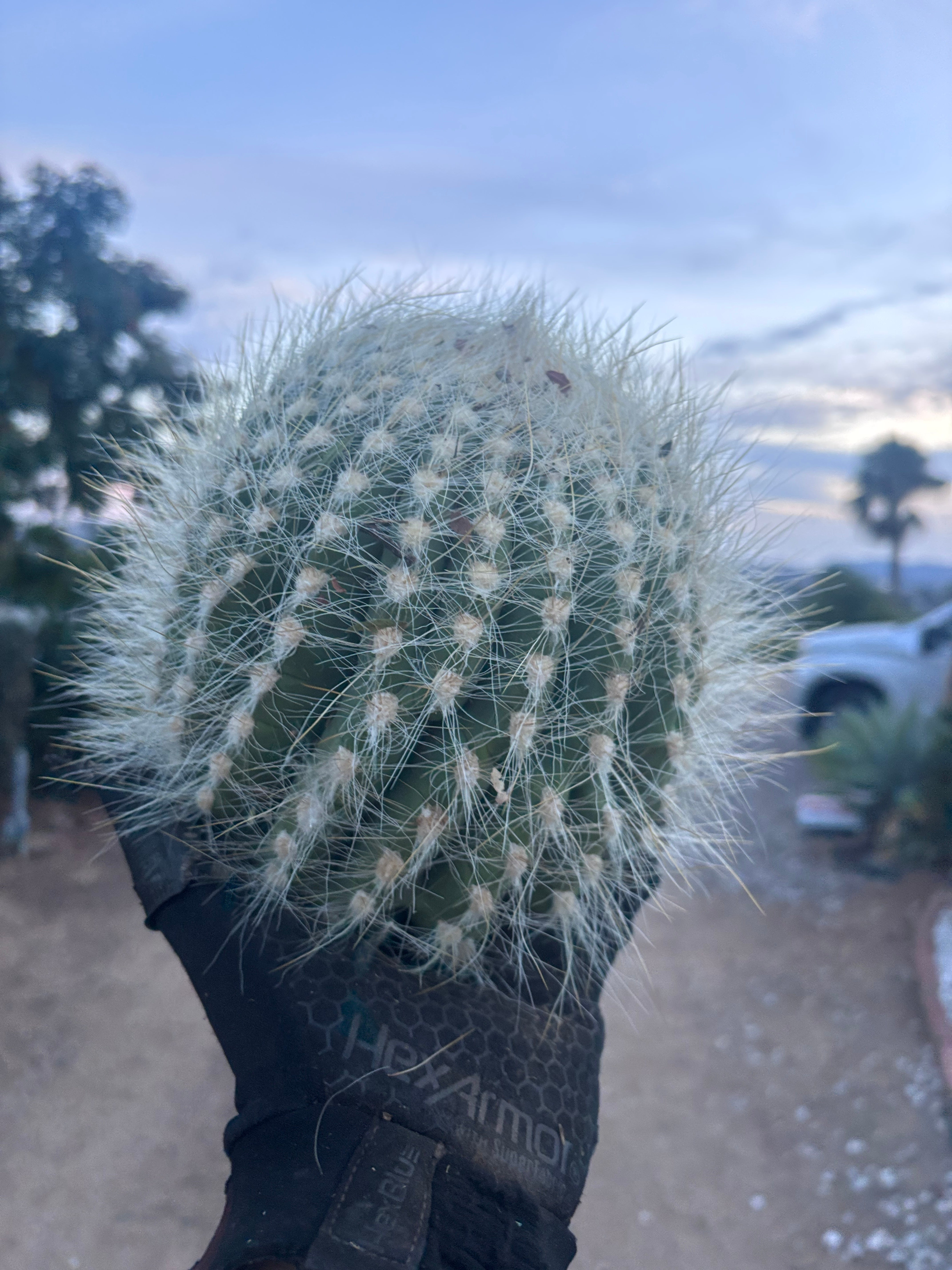 💎 Custom Order for Ty K