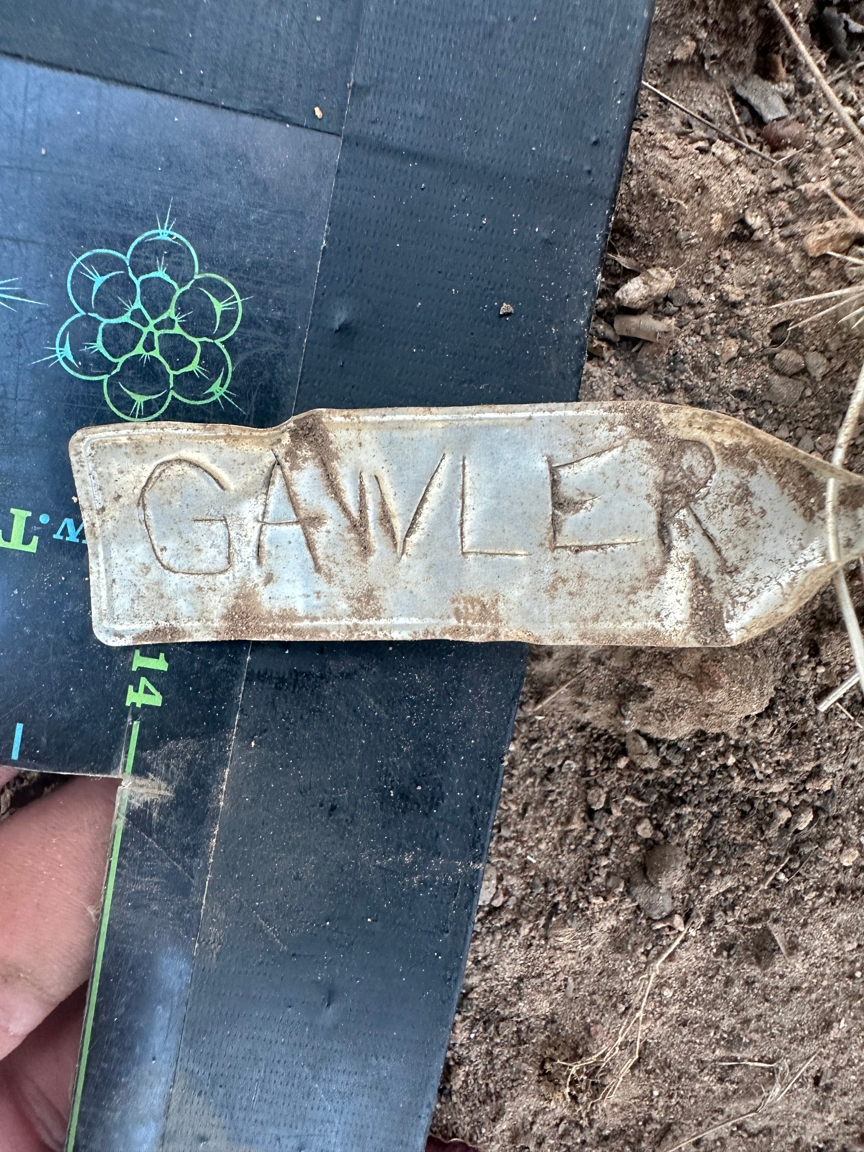 👑 Gawler — 10” Pup