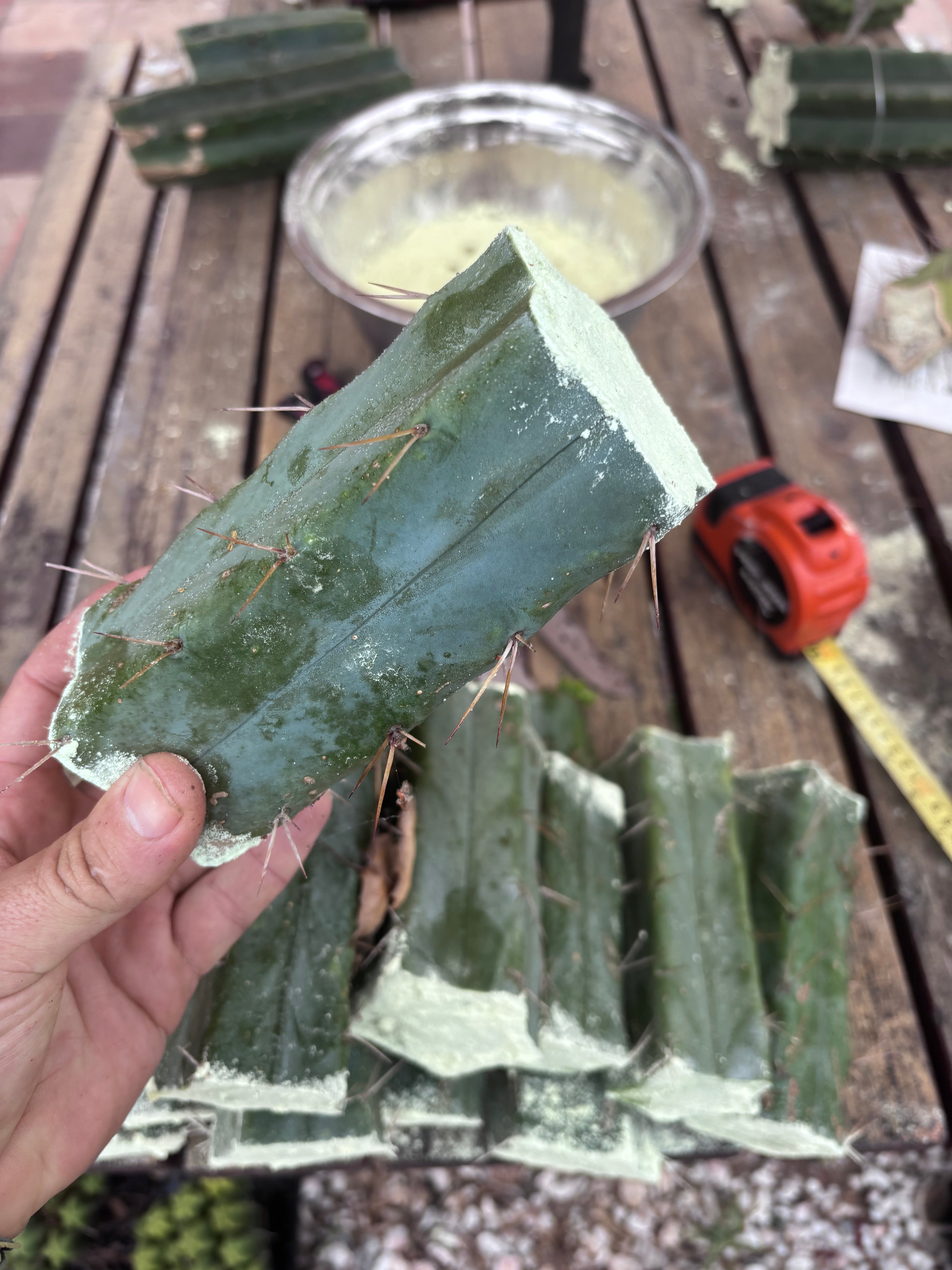 FREE ADD-ON — 🌶️ Hammer Bridge — 6” Mid