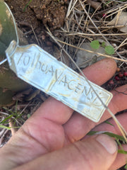 💎👑💎 Tulhuayacensis — Fat 9” Tip