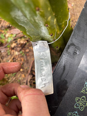 👑🌶️ Kimnach — Fat 8” Tip