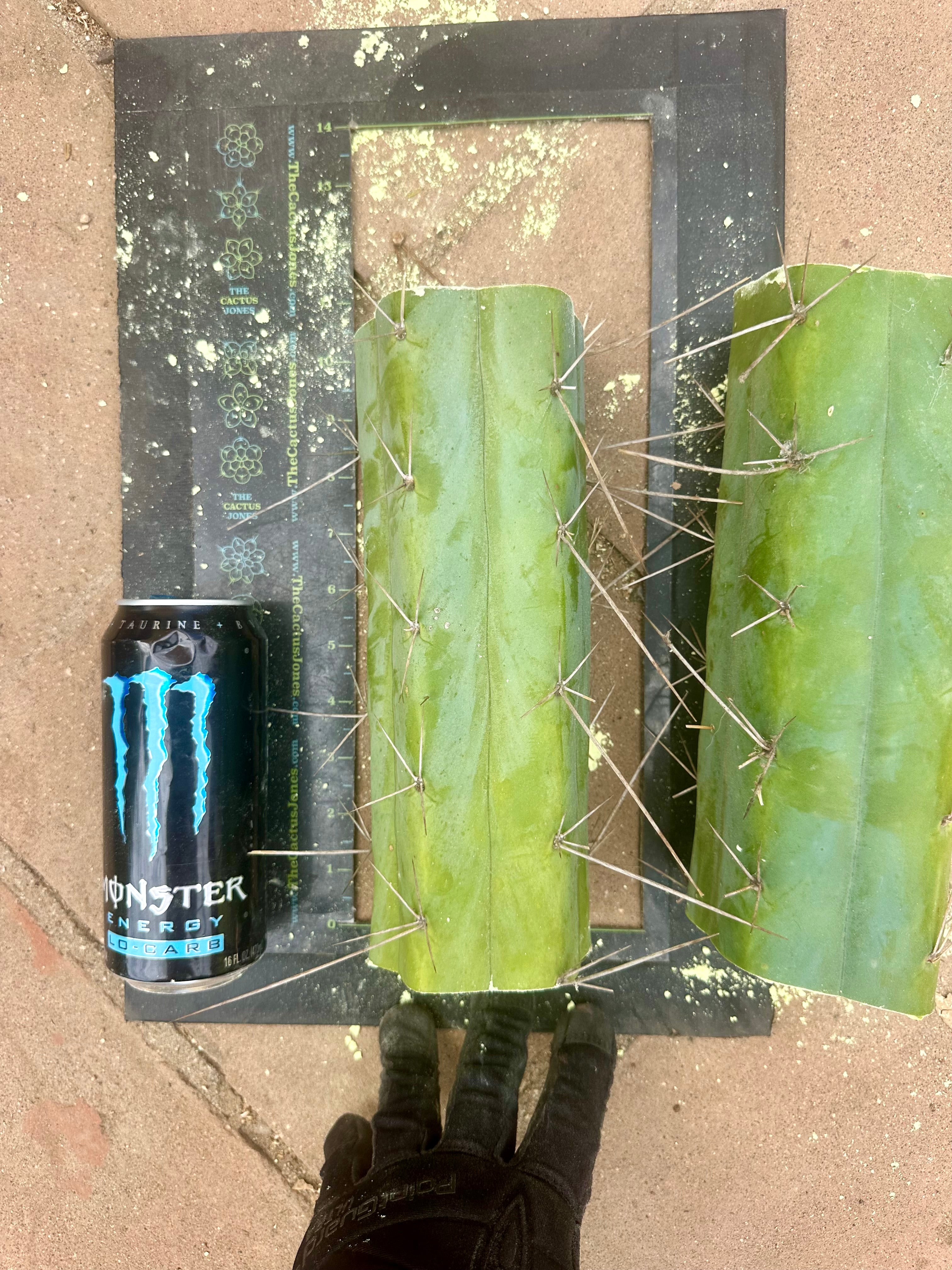 👑🌶️ Custom Listing for Scott C