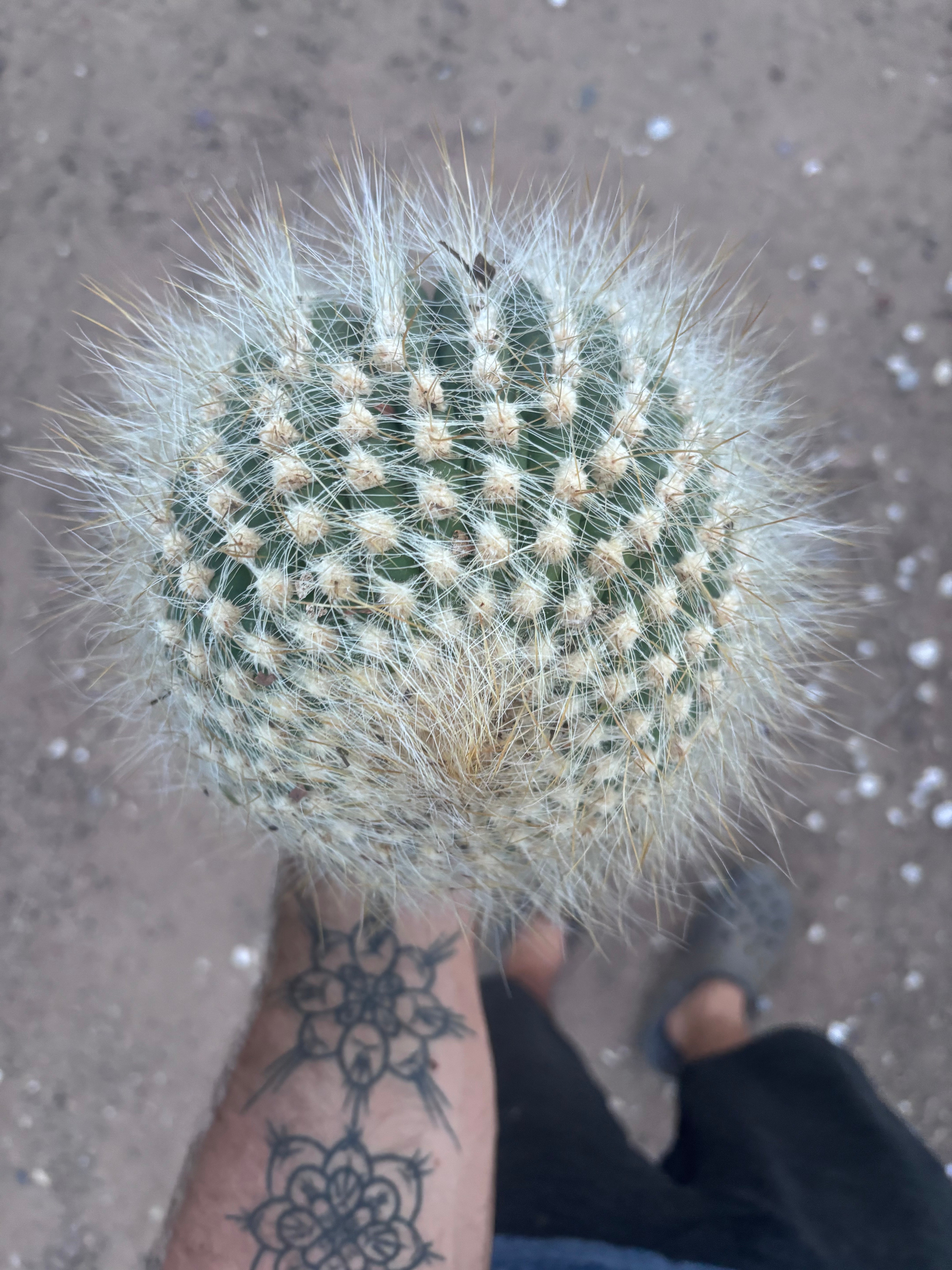 💎 Custom Order for Ty K