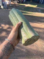 👑🌶️ Juuls Giant — XL 14” Yule Log