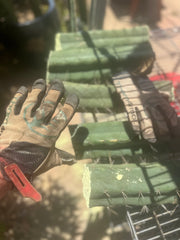 👑🌶️🌶️ Eileen — Max Thickness 14” Mid Cuts