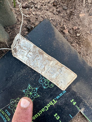 💎👑 Ferret— 13.5” Pup