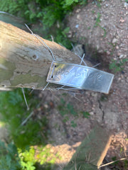 👑💎🌶️ Bob Gillette — 9” Tip