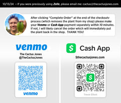 💎👑 Bruce’s Dragon — Chonky 7” Tip