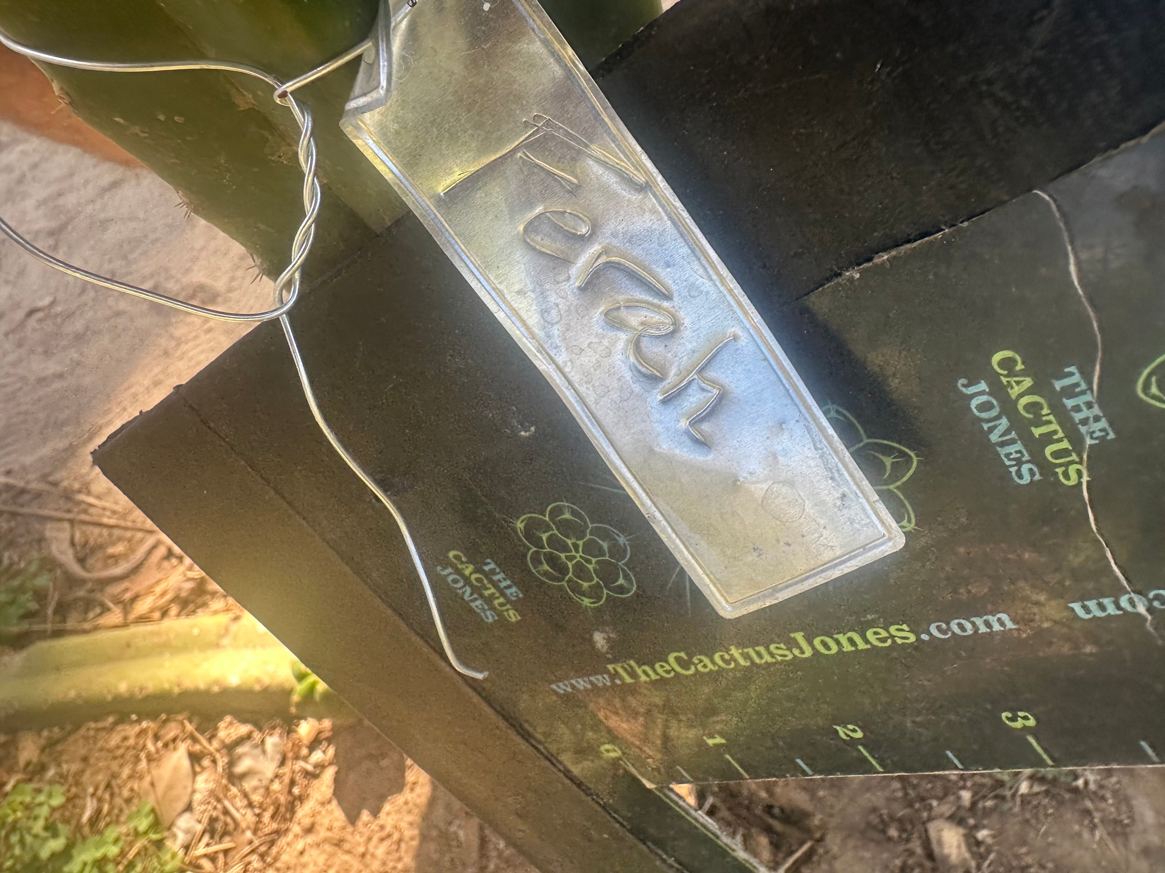 💎👑💎  Ferah! — Another THICK Tip