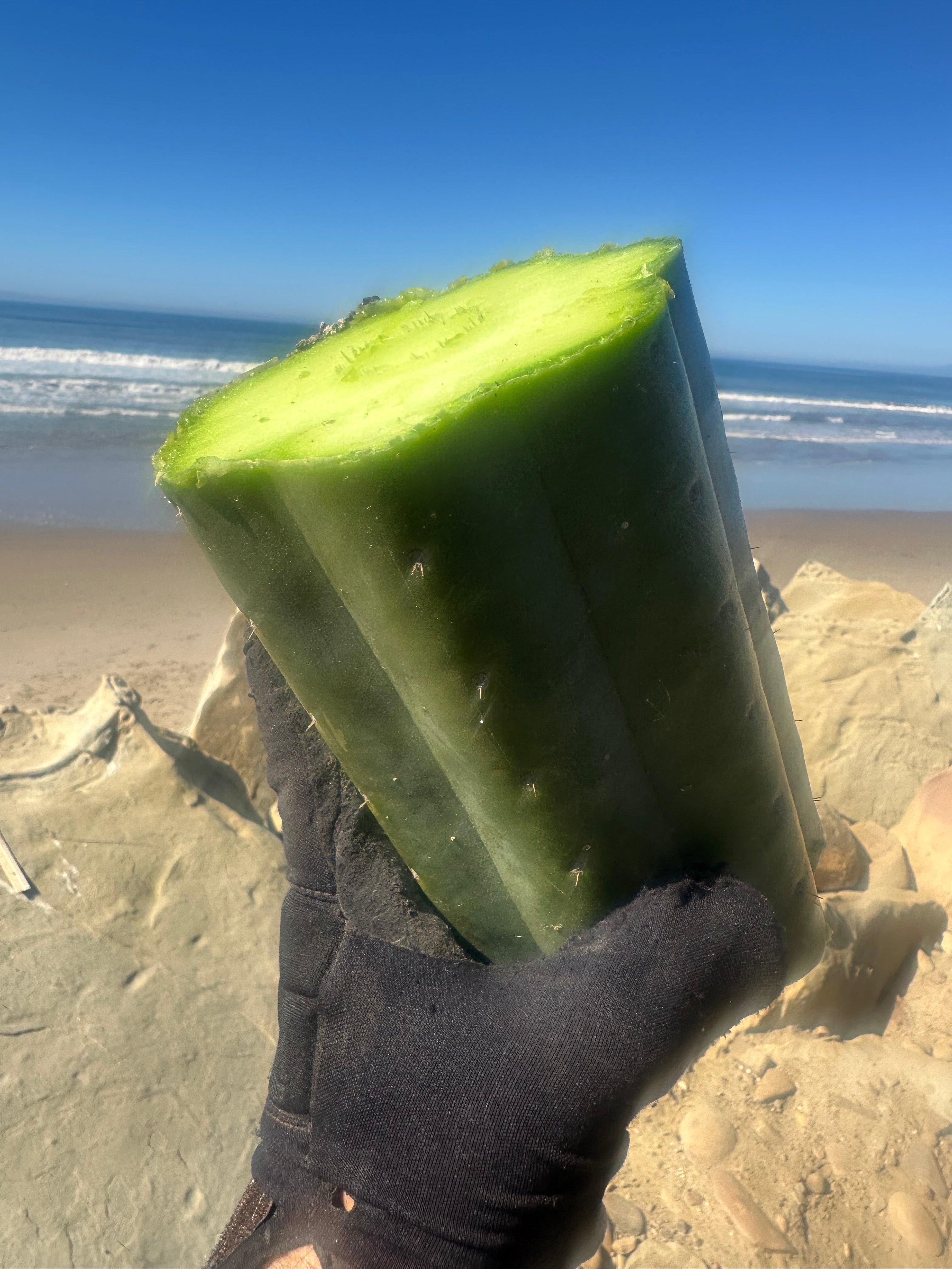 👑🌶️ Tom Juuls Giant  — 7” Mid Chonks