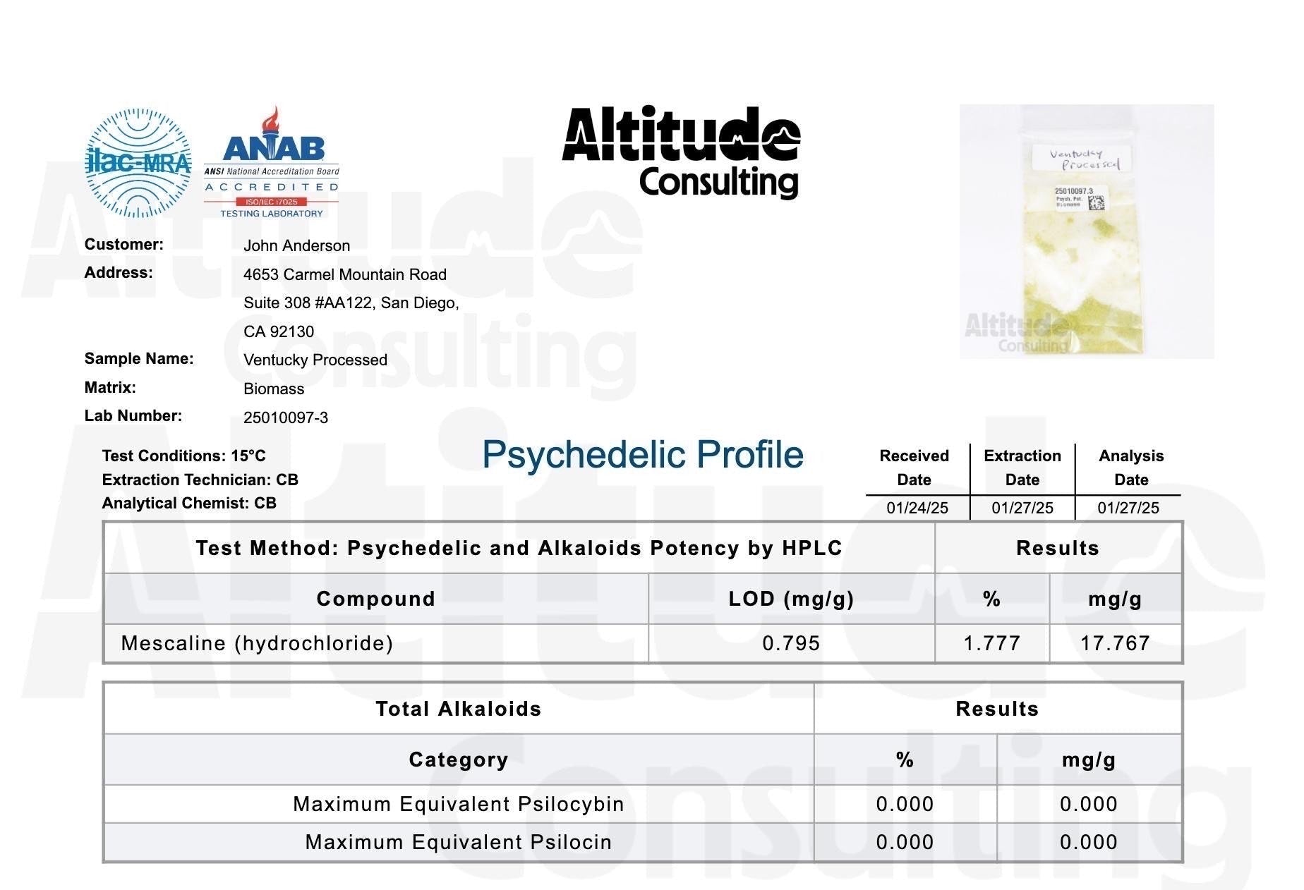 👑🌶️ Ventucky Blue — XL 17” Pups