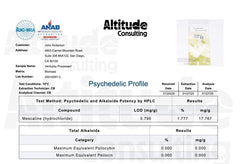 👑🌶️ Ventucky Blue — XL 17” Pups