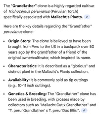 💎👑 Grandfather — 9” Tip
