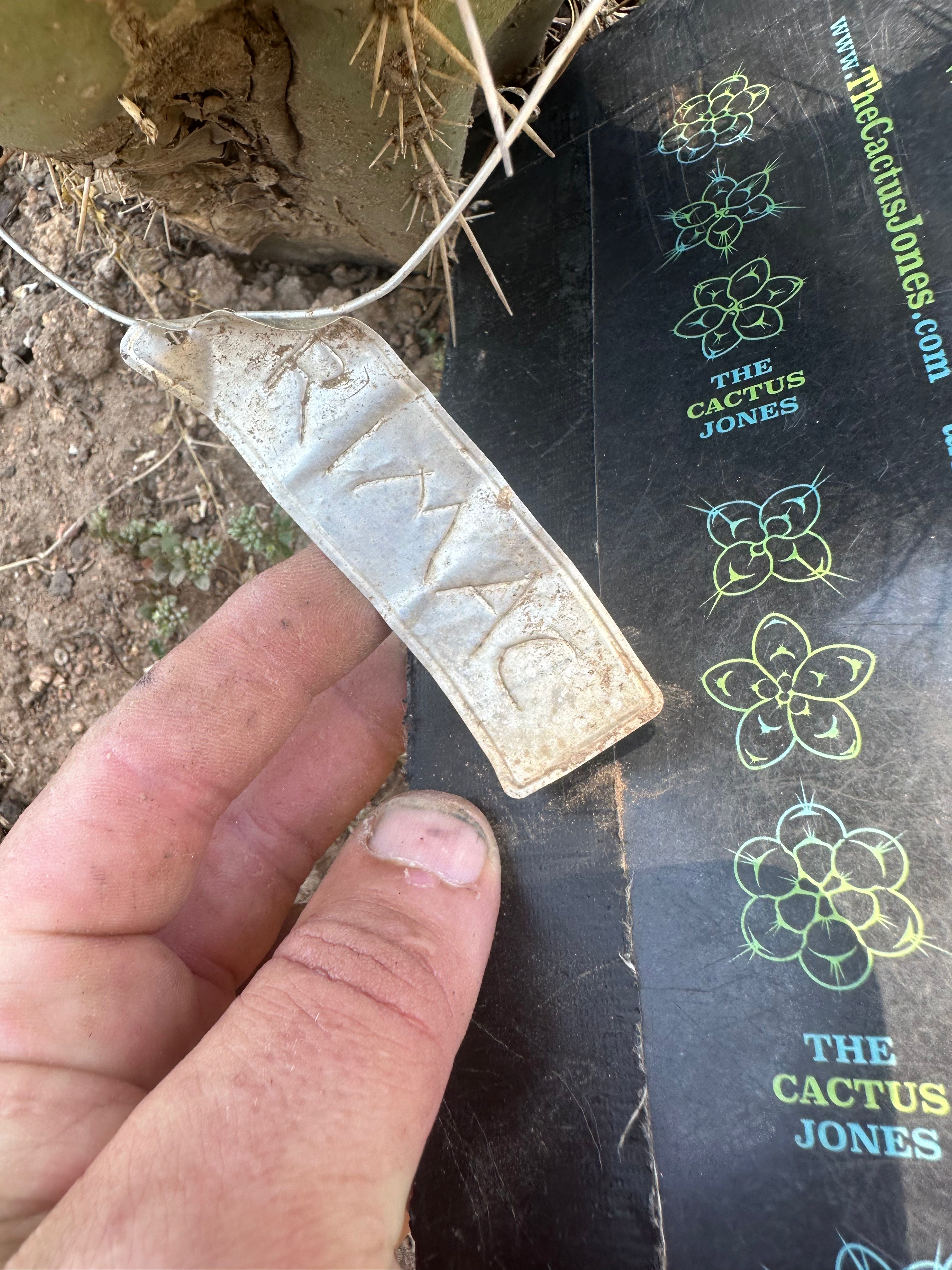 👑🌶️🌶️ Landfill — 11” Pup