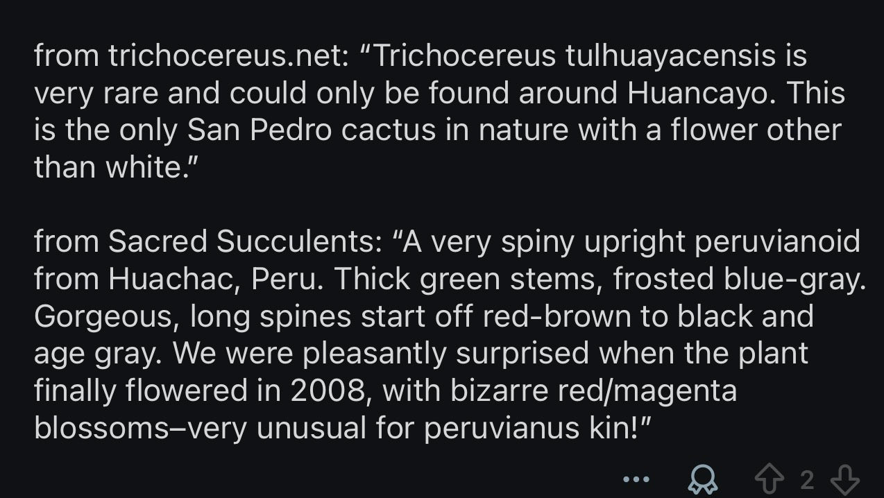 💎👑💎 Tulhuay — Rare Magenta Flower — One More 6” Tip