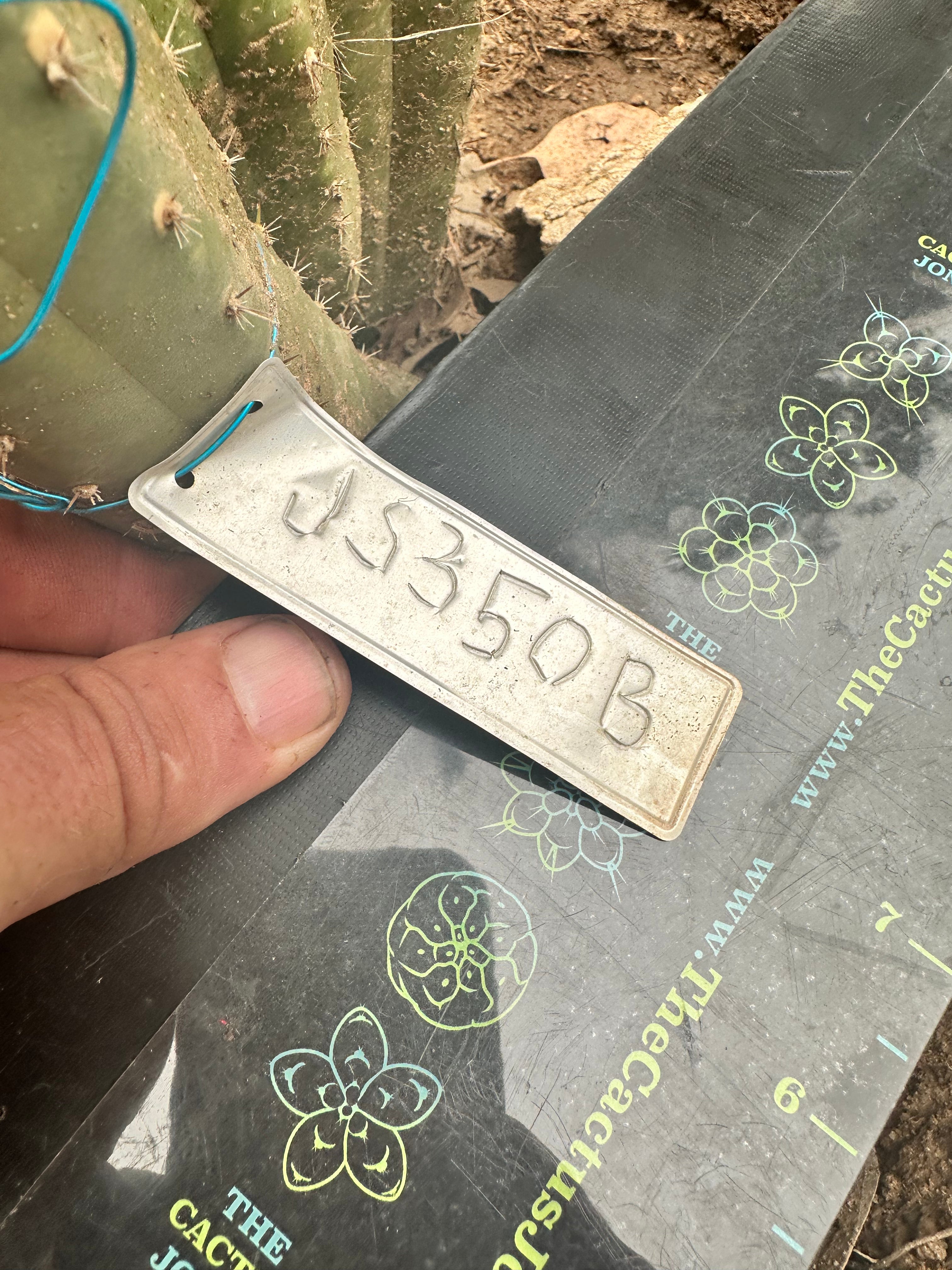 JS350b — 10” Pup