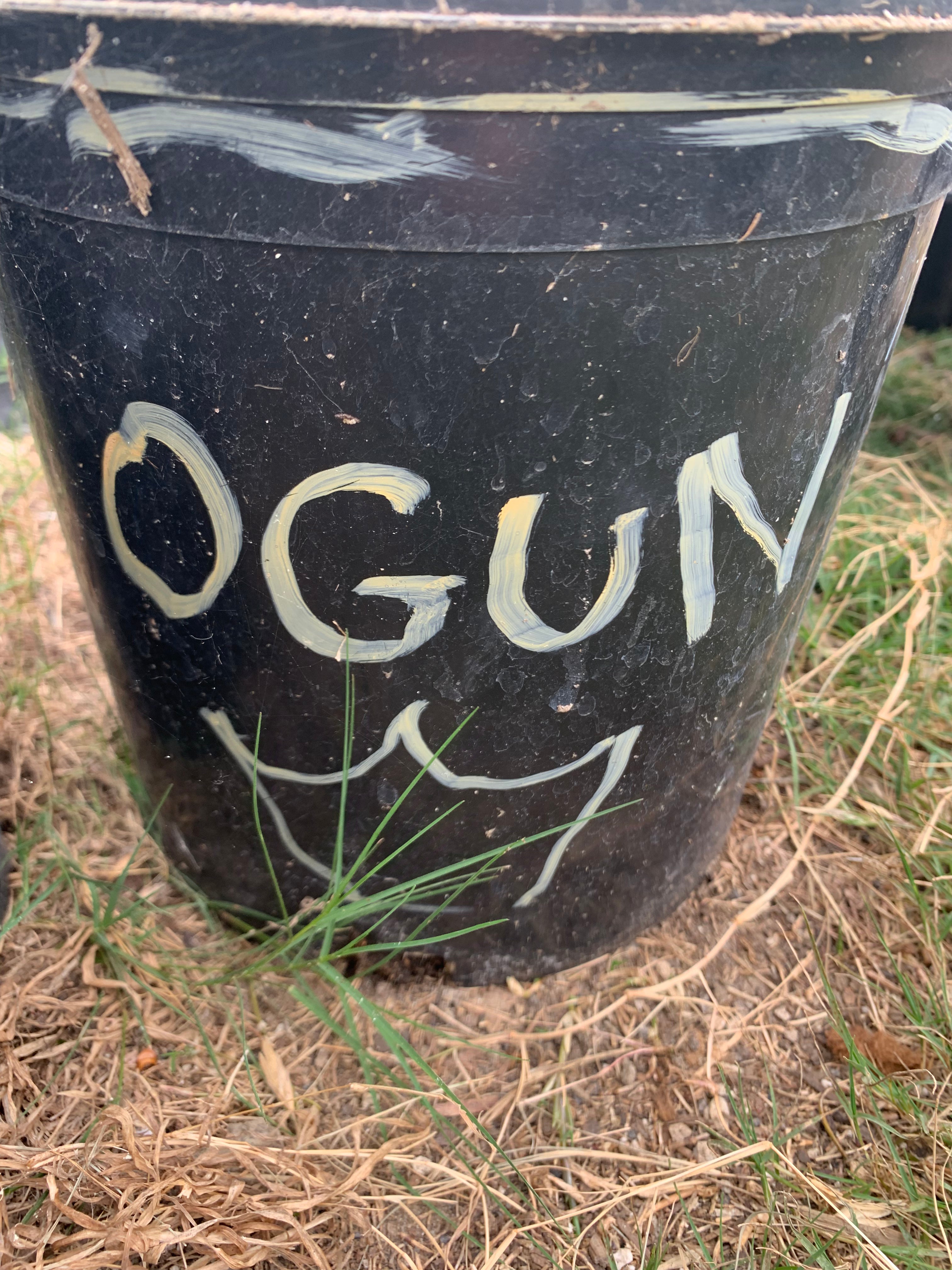 👑 Ogun — Perfect 7.5” tip