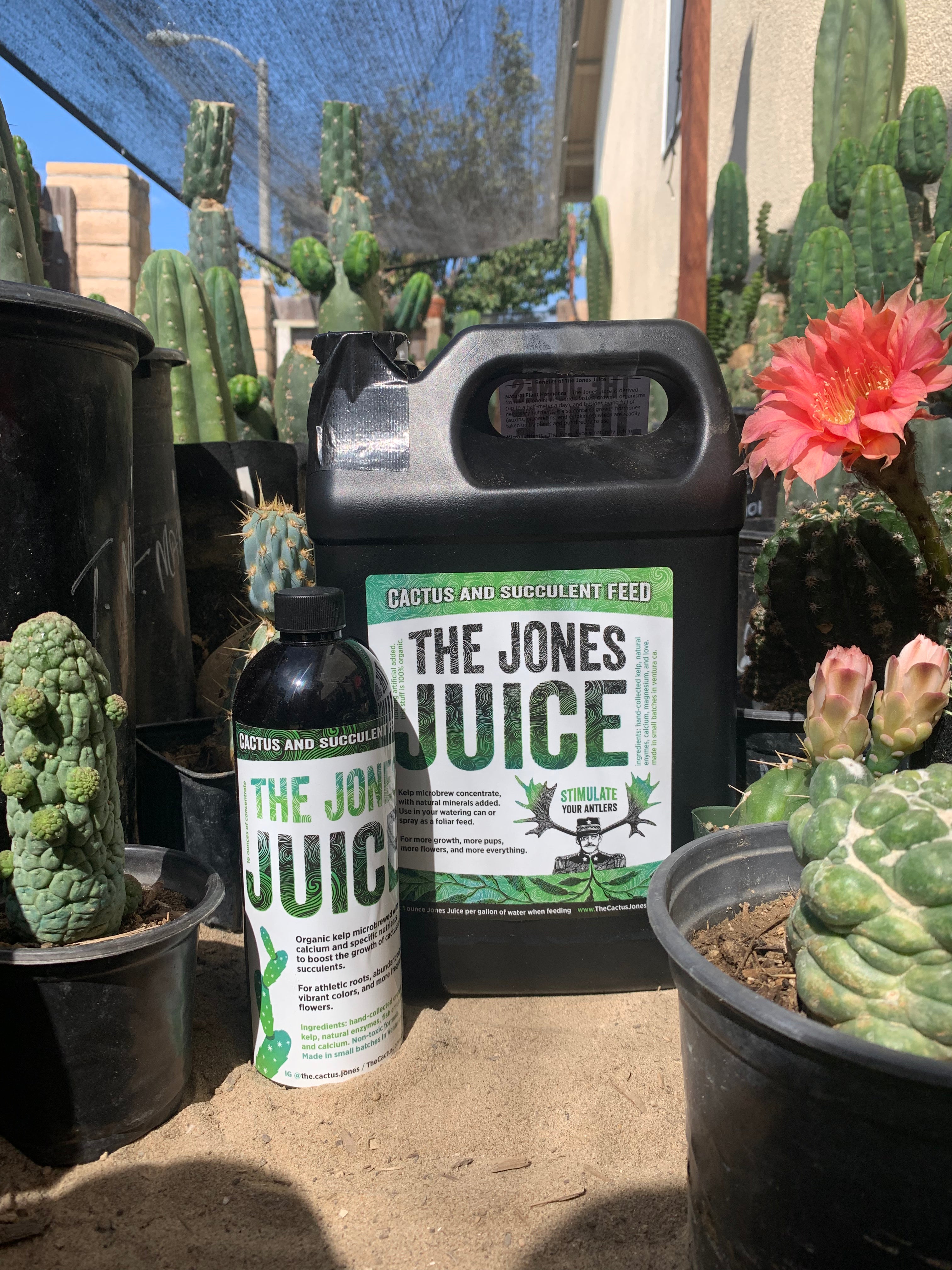 (The Jones Juice - 1 Gallon)