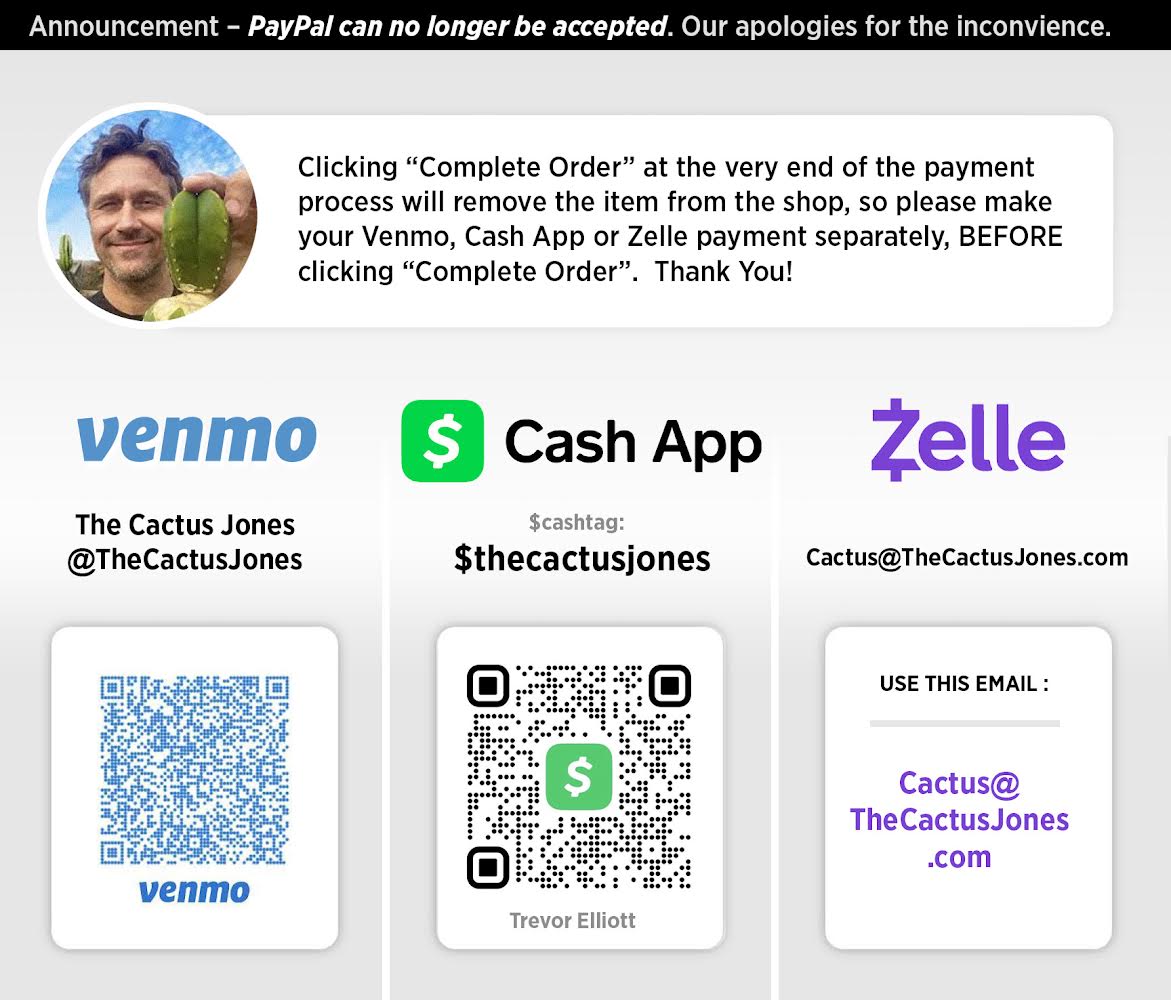 Big & Extra Notchy Pachanoi Tip