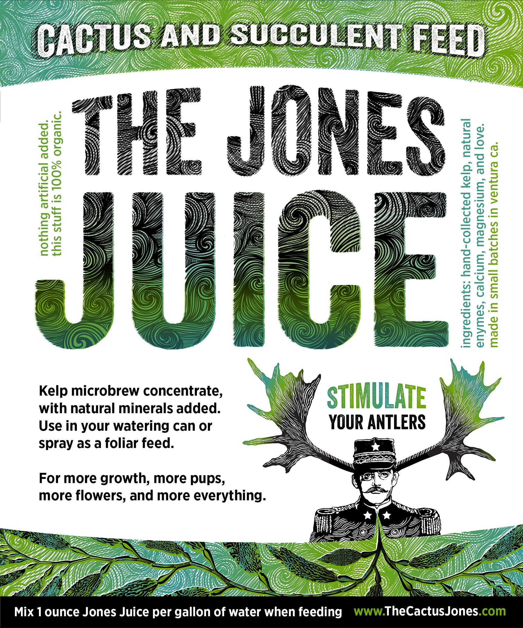 succulent juice The Jones Juice