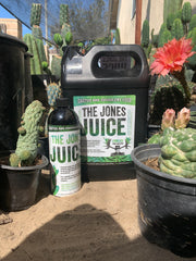 The Jones Juice - 16 Oz